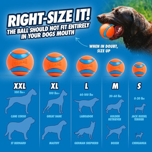 Ultra Ball Dog Toy - Size Large - For Dogs 60-100 lbs - Made from Durable Rubber - Picture 4 of 8